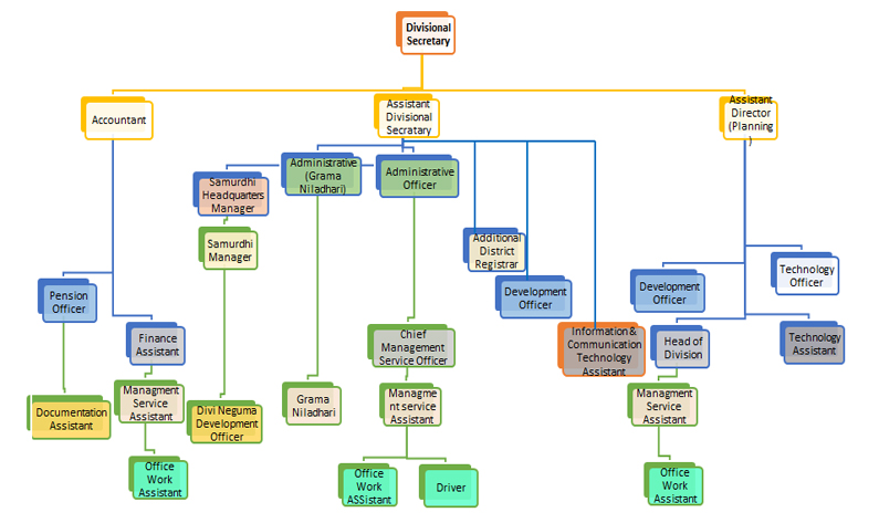 organization structure english