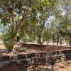 Kumaraella Archaeological Site